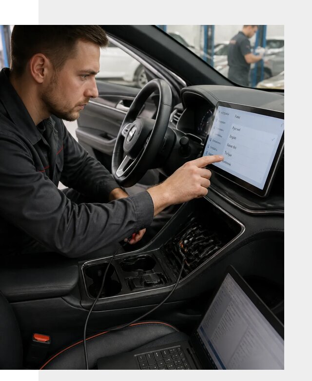Профессиональная русификация BYD SONG Plus в Бердске
